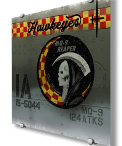 124th Attack Squadron