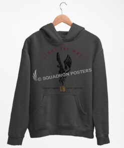 16th Airborne Command and Control Squadron Hoodie