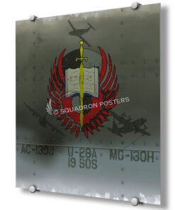 19th Special Operations Squadron