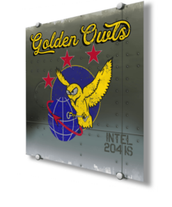 204th Intelligence Squadron