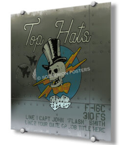 310th fighter squadron