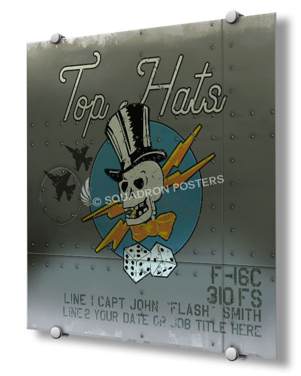 310th fighter squadron