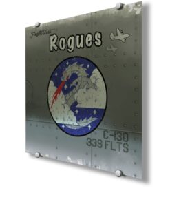 339th Flight Test Squadron