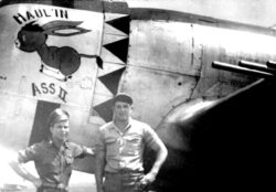 365th Fighter Group ?Hell Hawk?