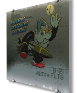 420th Flight Test Squadron