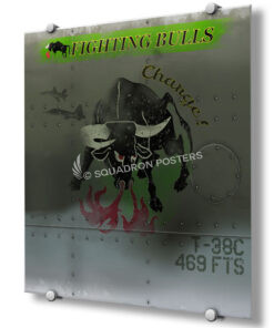 469th Flying Training Squadron