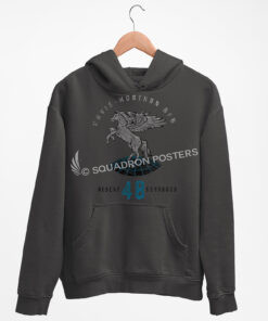 48th Rescue Squadron Hoodie