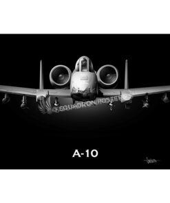 442nd Fighter Wing