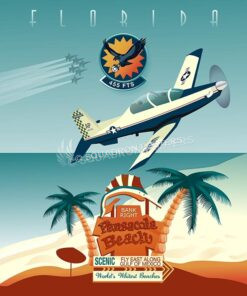 Air Force NAS Pensacola 455-FTS T-6