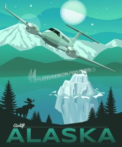 Alaska C-12 Huron 517th Airlift Squadron