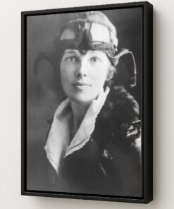 Amelia Earhart Portrait of a Legend