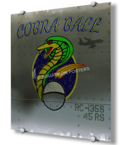 45th Reconnaissance Squadron