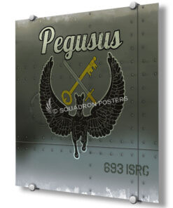 693d Intelligence, Surveillance and Reconnaissance Group