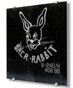 406th Bombardment Squadron