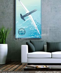 BAMS-D_RQ-4A_SP01000-squadron-posters-vintage-canvas-wrap-aviation-prints