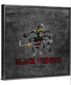 547th Intelligence Squadron Bomber Jacket Art