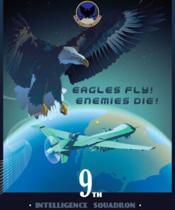 Beale AFB 9th IS MQ-9 Art