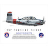 Beechcraft T-34A Mentor N7716B