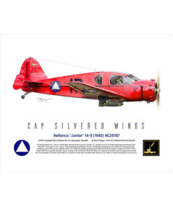 Bellanca “Junior” 14-9 NC25197 Art