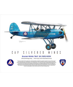 Timeline Flight / Silvered Wings Series