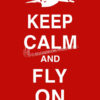 Keep Calm and Fly On C-5