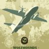 Cannon AFB 524th SOS C-146A Wolfhound Cannon AFB 524th SOS C-146A Wolfhound