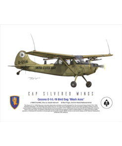 Cessna L-19A Bird Dog Black Aces