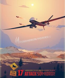 17th Attack Squadron