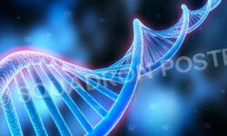 Our Causes supported by Squadron Posters.