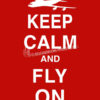 Keep Calm and Fly On E-3