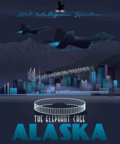 381st intelligence squadron