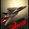 F-14 Tomcat SP00537-vintage-military-aviation-travel-poster-art-print-gift
