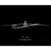 F-14 Jet Black Lithograph F-14 Jet Black Lithograph