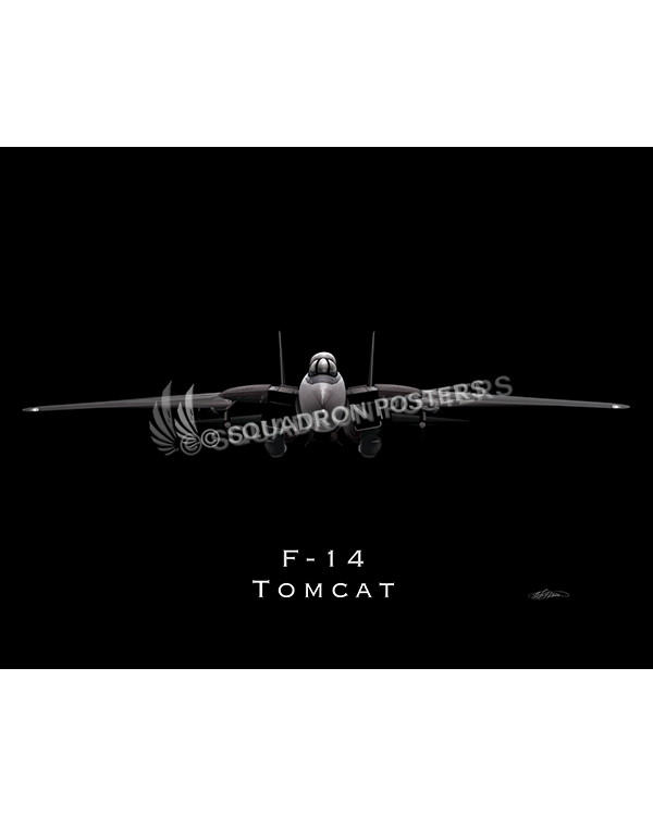 F-14 Tomcat Jetblack SP01039-FEAT-jet-black-aircraft-lithograph-print