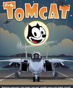 F-14 Tomcat
