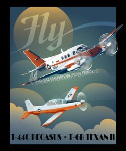 Fly T-44C and T-6B military aviation art by - Squadron Posters!
