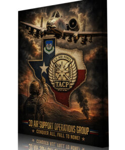 Fort Hood A-10 3d ASOG Art