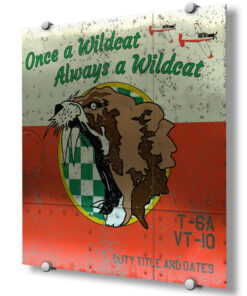 Training Squadron 10 (VT-10)