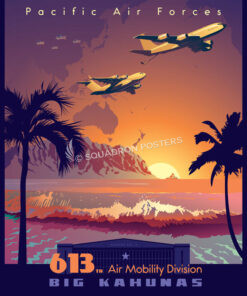 Hawaii 613th Air Mobility Division