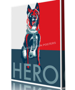 hero dog