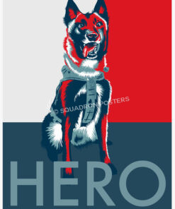 hero dog