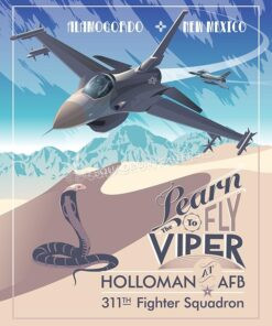 311th Fighter Squadron