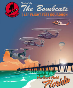 413th Flight Test Squadron