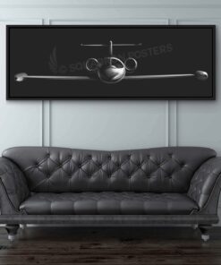 Private and Commercial Civilian Aviation