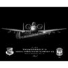 A-10, 355th OSS Jet Black Lithograph A-10, 355th OSS Jet Black Lithograph