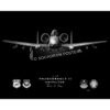 A-10 362nd Training Squadron Jet Black Lithograph