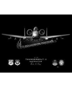 A-10 362nd Training Squadron Jet Black Lithograph