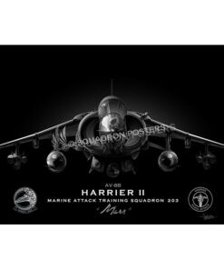 Marine Attack Training Squadron 203 (VMAT-203)