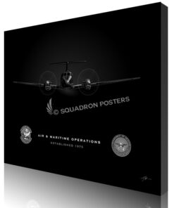 air and maritime operations