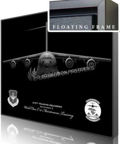 C-17 jet black 373rd TRS framed canvas print art